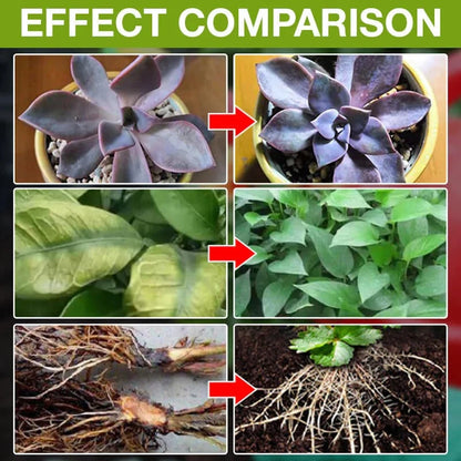 💥This Week Promotion 49% OFF💥 Plant Growth Enhancer Supplement