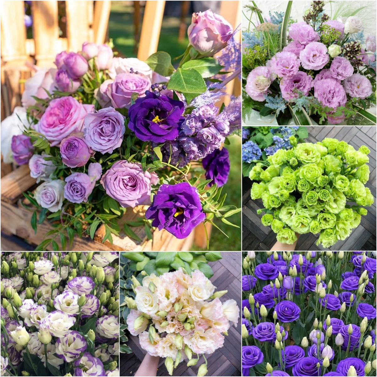 Perennial, long-flowering: Lisianthus seeds🌼
