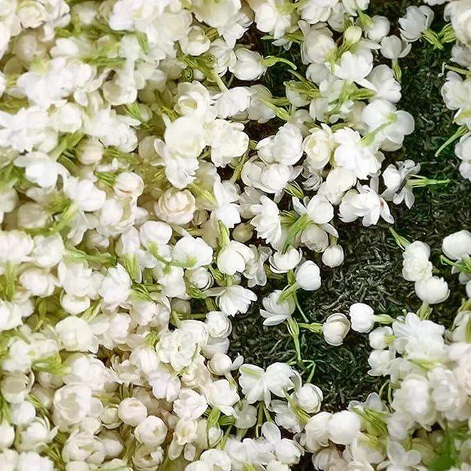 LAST DAY Promotion 49% OFF 🌸 Jasmine Potted Plant