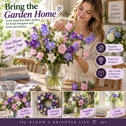 🔥 Last Day 50% OFF! 🔔💜 Dreamy Cathedral Bell Flower Seeds – Magical Multi-Color Canterbury Bells for Pots & Gardens 🌸