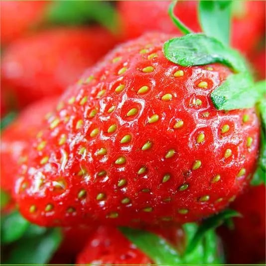 All-year-round strawberry seeds🍓