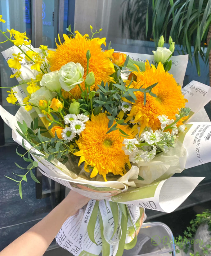 Teddy Bear Sunflower Seeds🌻🧸