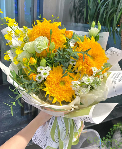 Teddy Bear Sunflower Seeds🌻🧸